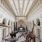 Хронология развития азартных игр от древности до современности