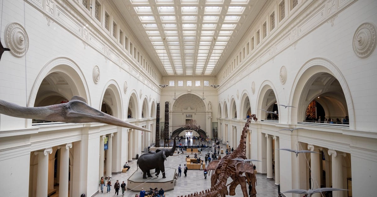 Хронология развития азартных игр от древности до современности