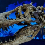 Хронология развития игровой индустрии от древности до современности