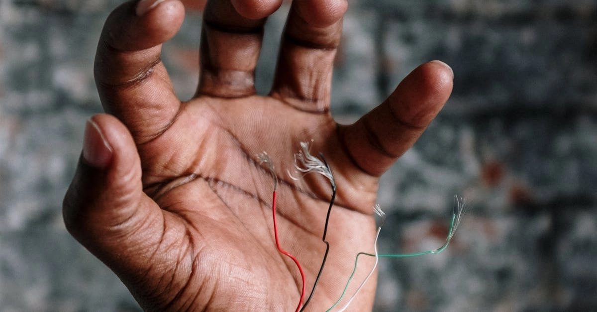 Хронология развития немецких игорных сайтов онлайн