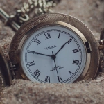 История создания и развития игрового автомата Wolf Gold